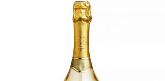 Ponto Nero conquita medalha de prata na França