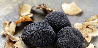 Trufas negras no menu de verão do Gero