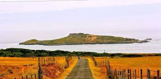 Dicas para elaborar seu roteiro pelo Alentejo