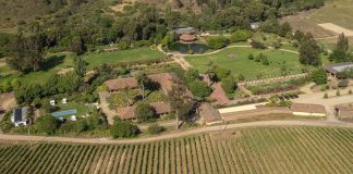 Vinícola Matetic anuncia voos de helicóptero por vinhedos