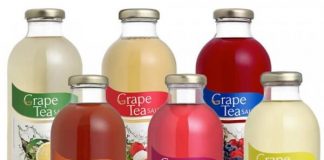 Salton lança novos sabores do Grape Tea