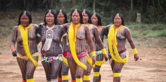 XVIII Encontro de Culturas Tradicionais da Chapada dos Veadeiros