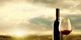 Feira Internacional do Vinho na Serra Gaúcha