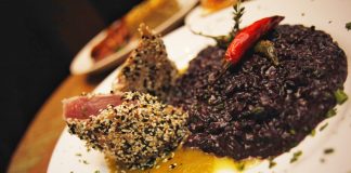 Nikkei sob nova direção e novo conceito