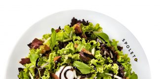 Spoleto apresenta as “levinhas”