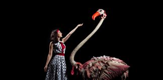 Teatro Negro de Praga se apresenta em Brasília