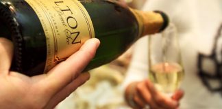 Salton lança loja virtual