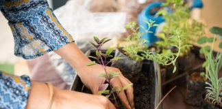 Vai começar mais uma temporada do Mercadinho do Brasília