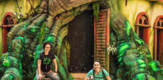 Funn Festival traz programação especial para pets