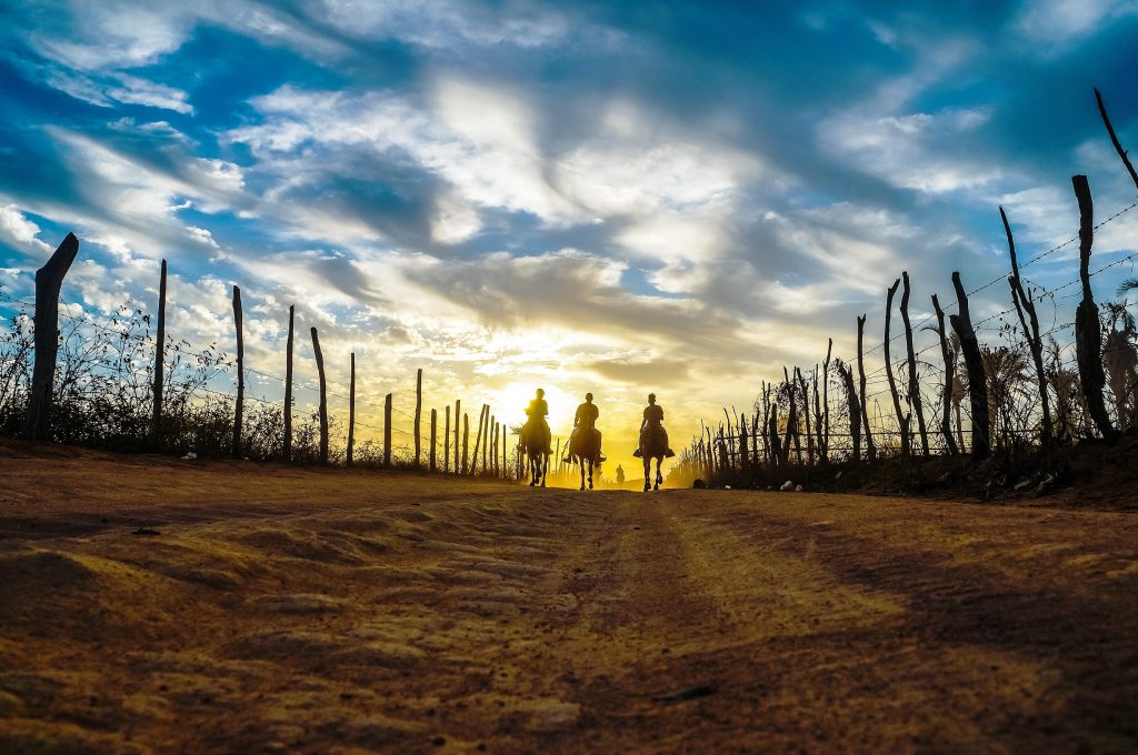 Exposição “Sertão Forte”