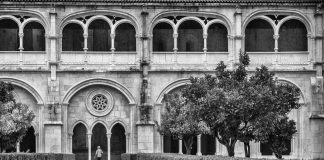 “Olho e contenta-me ver” por Nick Elmoor