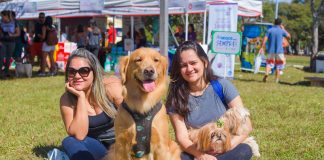 5ª edição do Pet Day ocupa o Eixão Sul