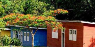 Museu Vivo promove evento para celebrar Dia do Patrimônio Histórico