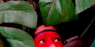 Arandu traz histórias da ancestralidade indígena brasileira