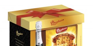 Salton e Bauducco se unem para kit especial de final do ano