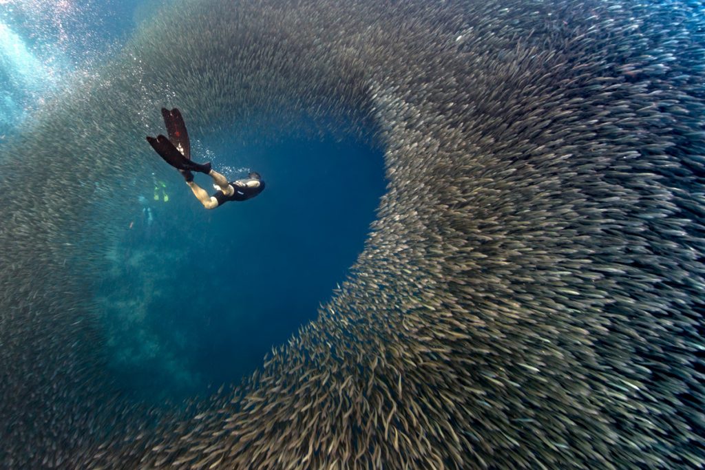 Embaixada das Filipinas faz evento sobre mergulho no Pátio