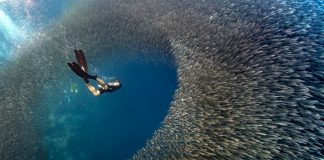 Embaixada das Filipinas faz evento sobre mergulho no Pátio