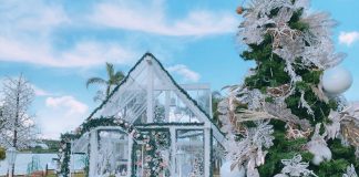 Com o foco na sustentabilidade, Pontão inaugura Natal Mágico