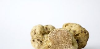 Così Brasília promove Festival de trufas brancas