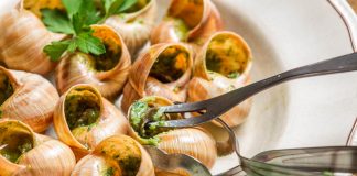 Linha Escargot da Borgonha é a novidade da La Pastina