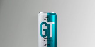 Gin tônica em lata é a primeira novidade da SKOL para 2020