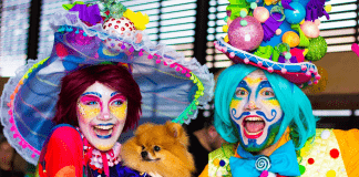 Três dias de bailinho de Carnaval no Pátio Brasil