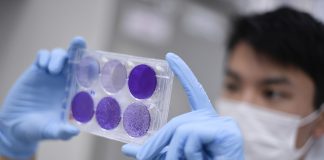 Pesquisadores brasileiros desenvolvem ferramenta de edição genética que pode combater o novo coronavírus