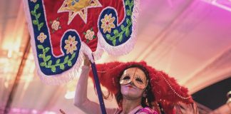 Secretaria de Cultura do DF promove obra dedicada à cultura popular do Cerrado