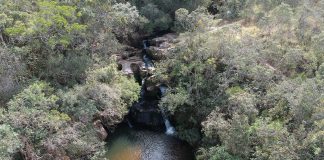 Olhos Cerrados: Exposição fotográfica retrata as belezas e riquezas do cerrado