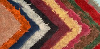 Vem aí a 2ª Edição do “Meu Papel no Mundo”