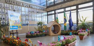 Troque livros e brinquedos infantis por mudas de plantas