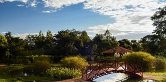Jardim Botânico de Brasília libera acessos e autoriza ensaios fotográficos