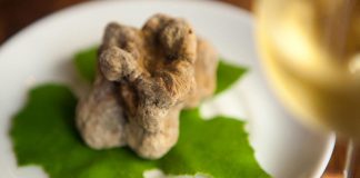 Aroma abre reservas para temporada de trufas brancas italianas