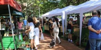 Feira do Parque da Cidade é reativada