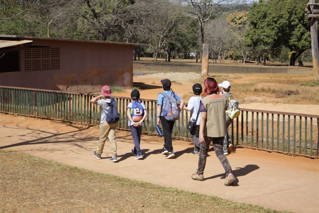 Zoológico de Brasília abre inscrições para voluntários