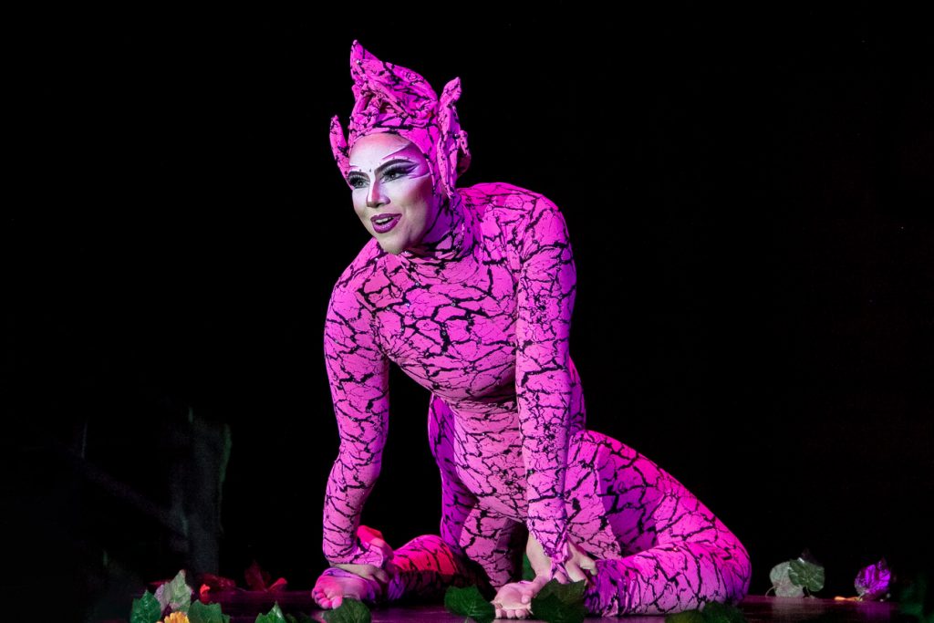 Brasília recebe o Circo dos Sonhos com o espetáculo “Alakazan – a Fábrica Mágica”