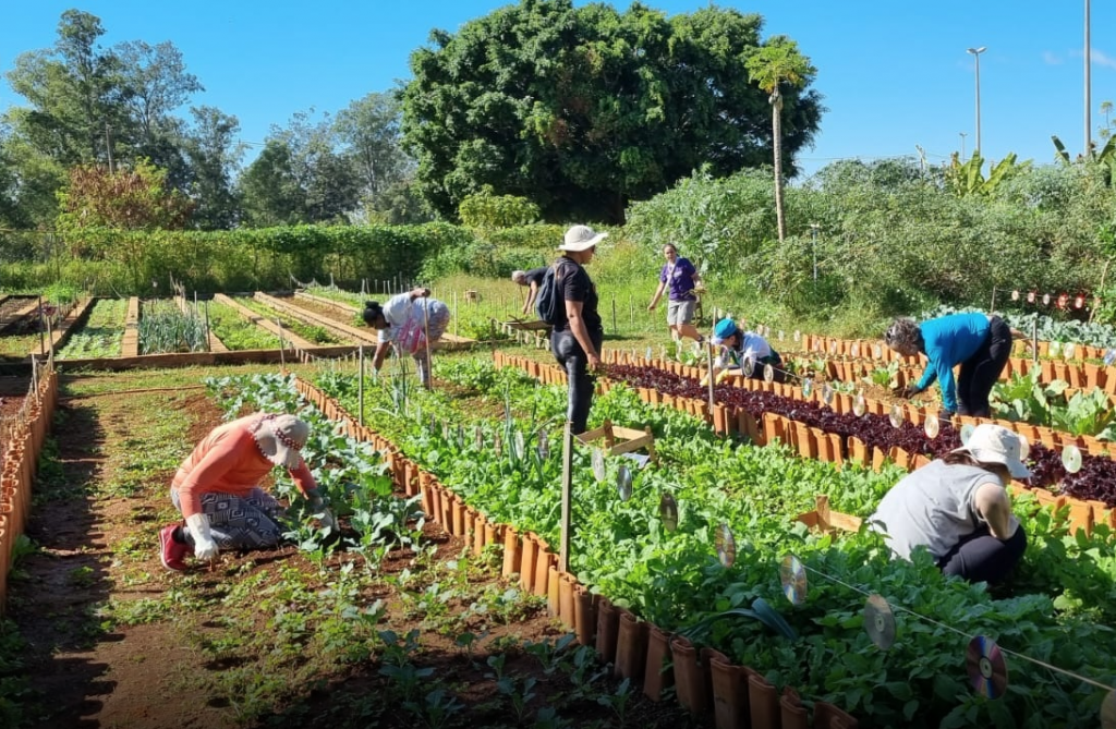 Estão abertas as inscrições para curso na Horta Comunitária do Guará