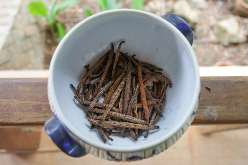 Você sabia que o DF produz baunilha?