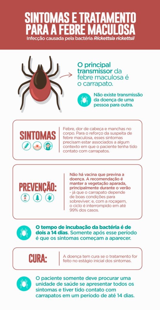 Saiba como identificar e evitar a febre maculosa - Dicas da Capital