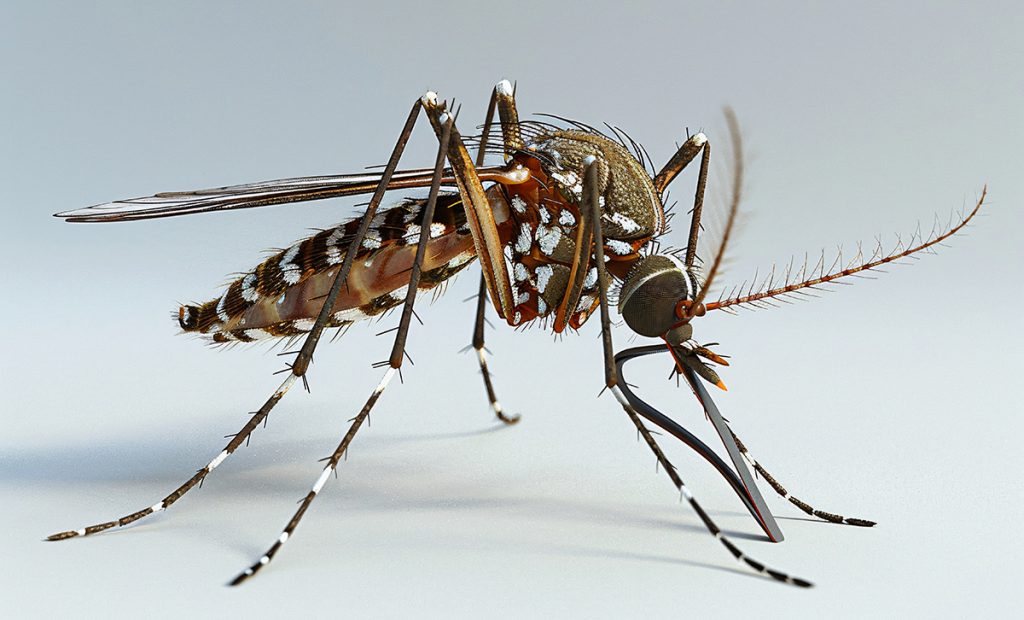 Amanhã é dia de vacinação contra a dengue e outras doenças. Confira os pontos de imunização