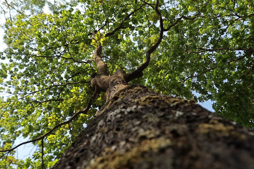 Exposição “Nada sobre nós, sem nós!” ocupa o espaço Renato Russo