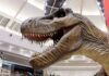 Os dinossauros invadiram o ParkShopping