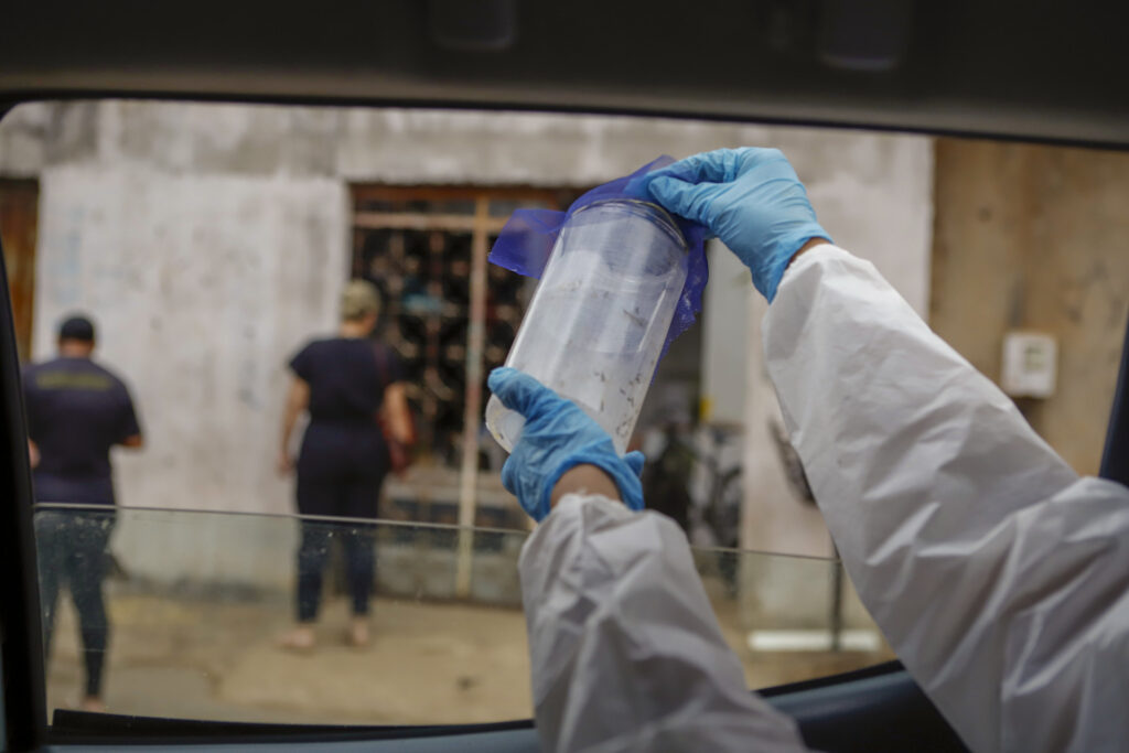 Viu wolbitos por aí? Mosquitos foram são soltos pelo DF para ajudar no combate à dengue