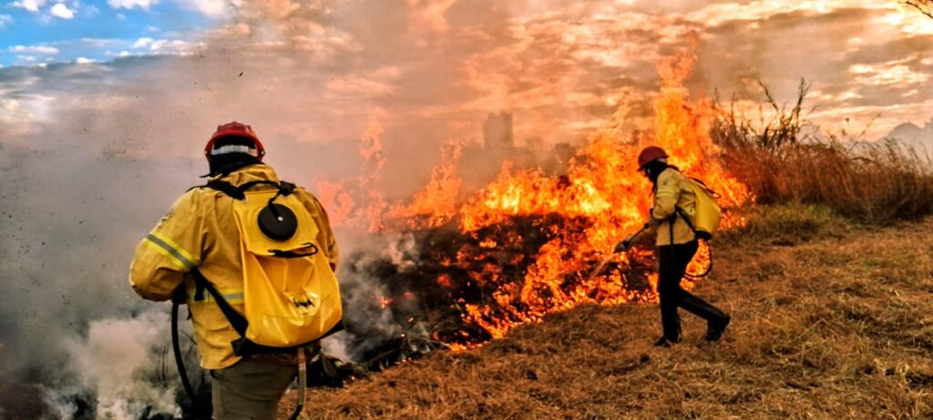 DF marca presença na COP 30 como referência nacional em sustentabilidade e proteção ao Cerrado