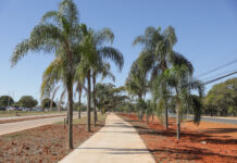 DF é a segunda maior malha cicloviária do país e segue investindo a mobilidade