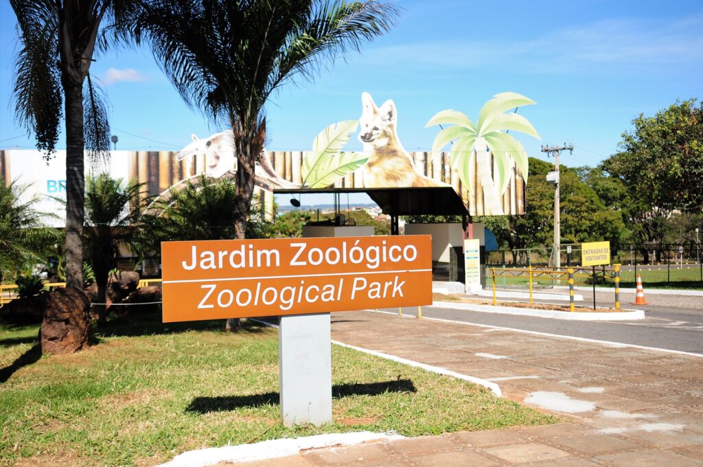 Zoológico de Brasília comemora 68 anos com programação especial e entrada gratuita