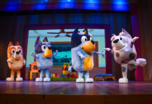 Show oficial da série premiada Bluey em curta temporada na CAIXA Cultural