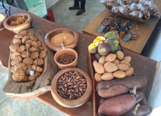 Nota Técnica inclui frutos do Cerrado na alimentação escolar no DF