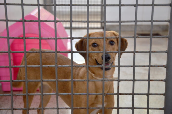 55029948872_66e40490c0_k (1)