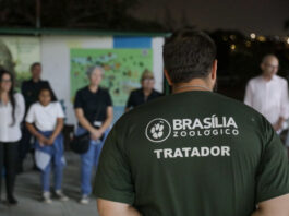 Zoo Experiência e Zoo Noturno abrem inscrições na próxima segunda-feira